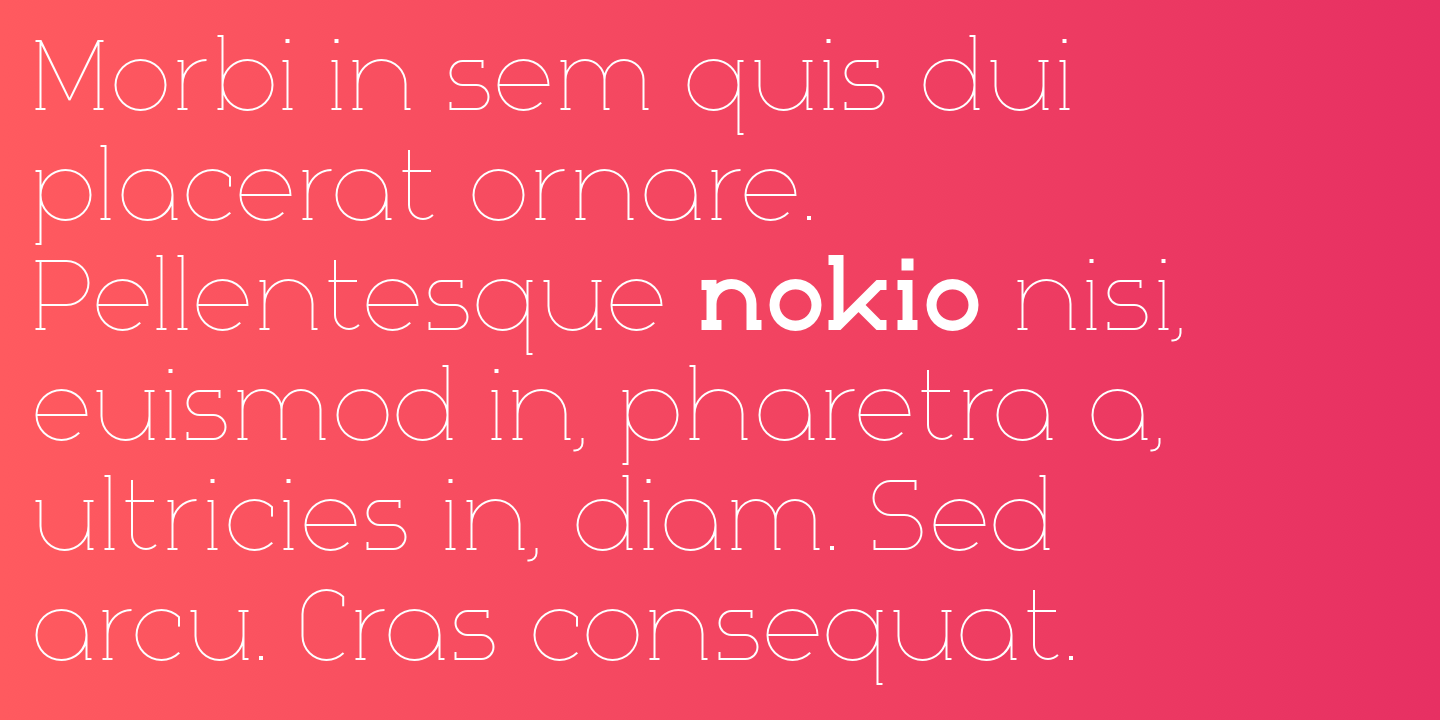 Nokio Slab Bold Italic Font preview